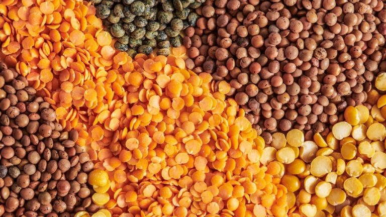 10 alimente bogate în proteine în afară de carne