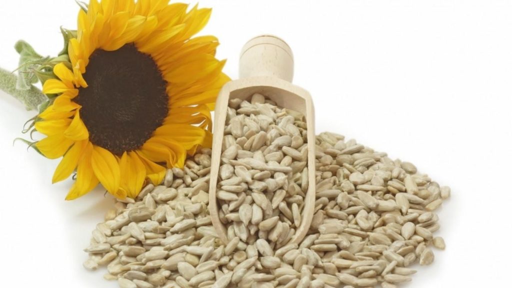 10 alimente bogate in proteine floarea soarelui