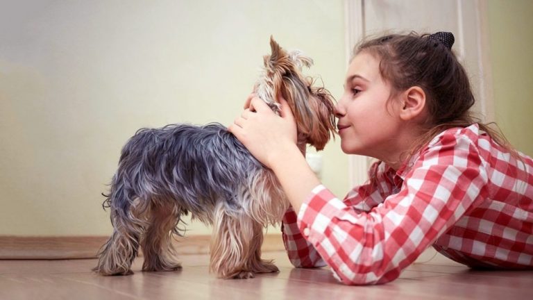 Animalele de companie pot declanșa astm bronșic?
