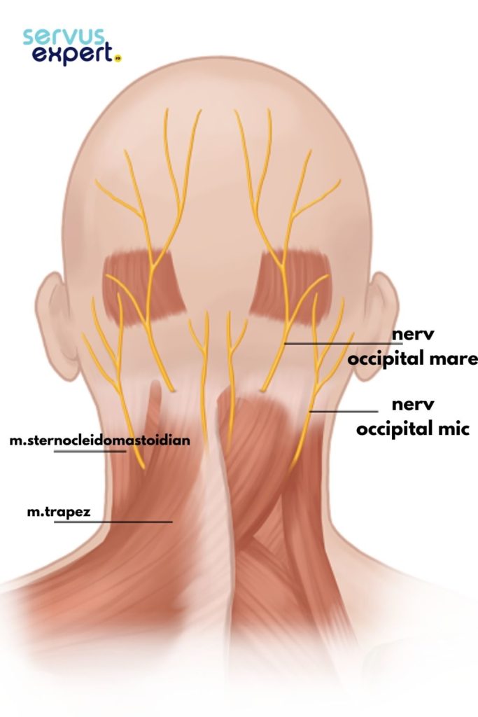 nevralgia occipitala