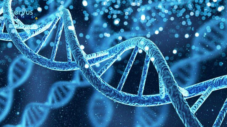 Testul BRCA pentru depistarea riscului de cancer de san