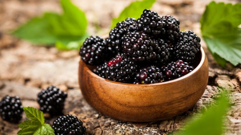 Antocianine: de ce să consumi fructe si legume violet?