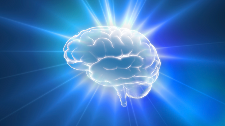 Flavonoidele scad riscul de Alzheimer
