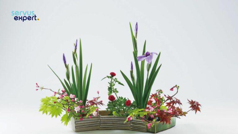 Ikebana. Cum să aranjezi florile în stil japonez?