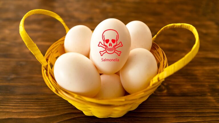 Salmonella: alimente contaminate frecvent și semnele infecției