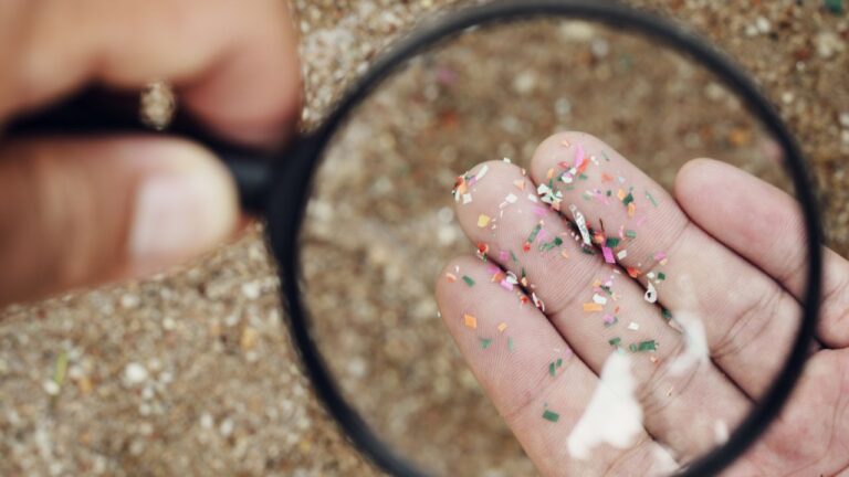 Cum să eviți contaminarea cu microplastic și de ce ar trebui?