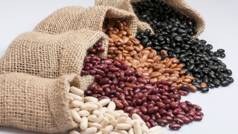 Fasolea: ce vitamine și minerale câștigi?